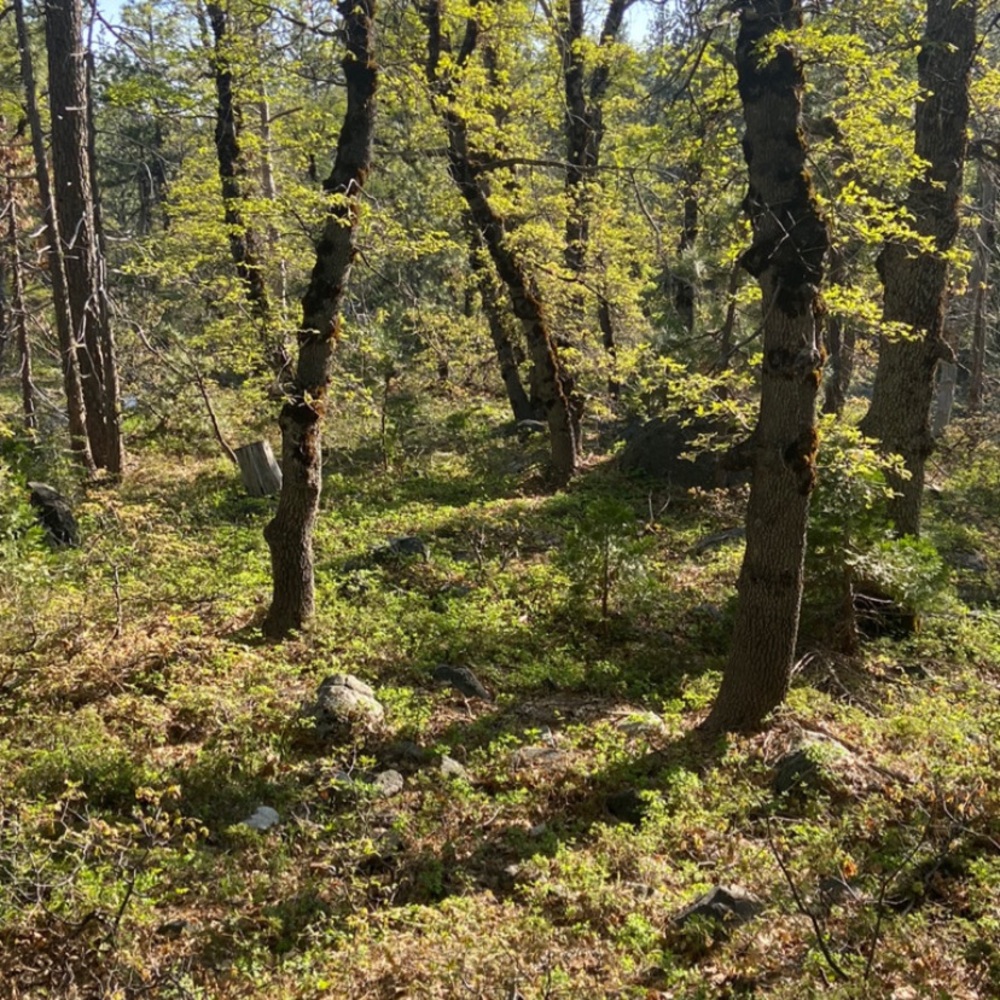 Meet your Posher, Maemi